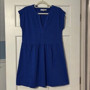 LOFT Royal Blue Dress
